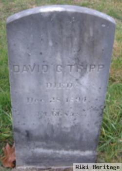 David G Tripp