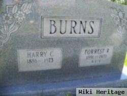 Harry Curtis Burns