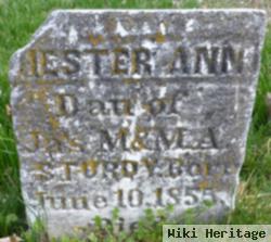 Hester Ann Sturdy