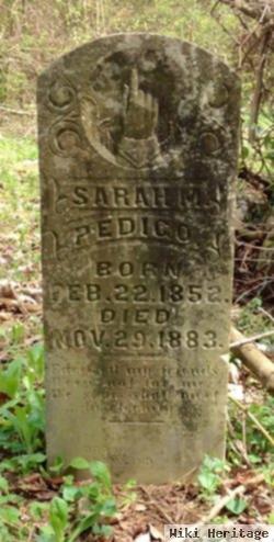 Sarah M. Pedigo