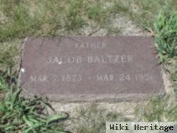 Jacob C Baltzer