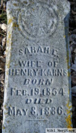 Sarah E. Karns