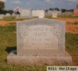 Amelia H Hayes