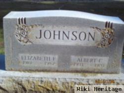 Elizabeth F Johnson