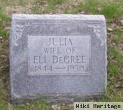 Julia Degree