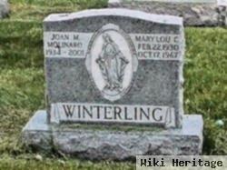 Mary Lou C. Finnerty Winterling