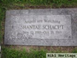 Shantae Schacht