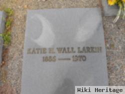 Katie Bell Holloway Wall Larkin