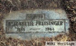 Elizabeth Schmidt Freisinger