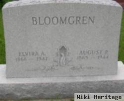 Elvira Albertine Nelson Bloomgren