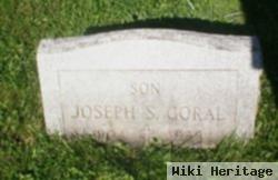 Joseph S Goral