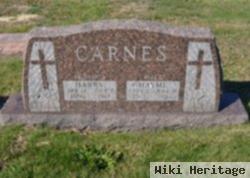 Harry James Carnes