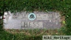 Ernest H Hess