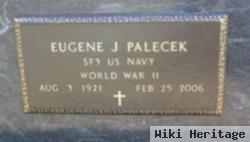 Eugene Palecek