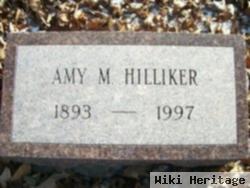 Amy M Hilliker