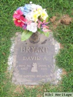 David A Bryant