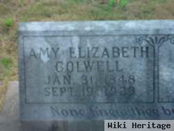 Amy Elizabeth Colwell