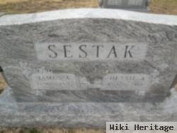 James A Sestak