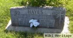 Michael James Hayes