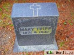 Mary Fell Tripp