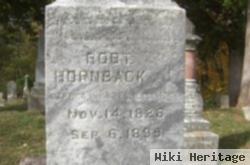 Capt Robert Hornback