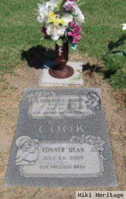 Dolores Ann Berry Cook