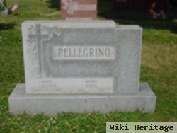 Giuseppe Pellegrino