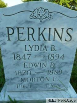 Lydia Brewster Strout Perkins