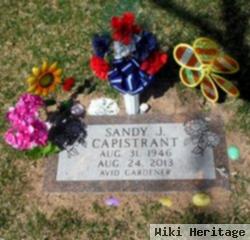 Sandy Jean Capistrant