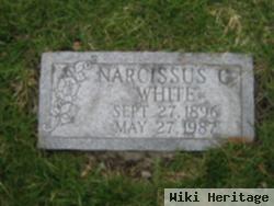 Narcissus C White