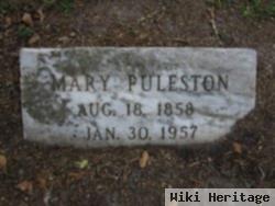 Mary Arnold Puleston