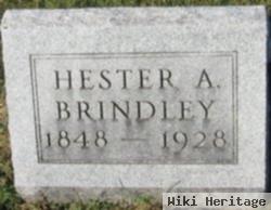 Hester Ann Birney Brindley