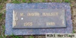 M. David Halsey