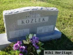 Joyce Kozlek