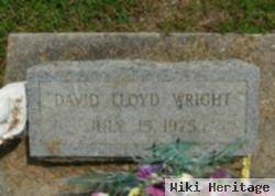 David Lloyd Wright