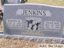 Anna Mae Hooker Jenkins