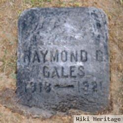 Raymond G Gales