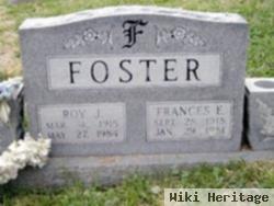 Roy J. Foster