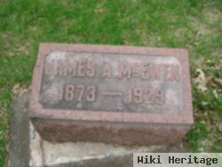 James A Mcewen