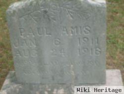 Paul Amis