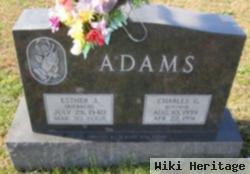 Esther J Kiebach Adams