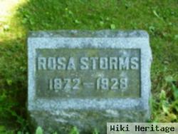 Rosa Fink Storms