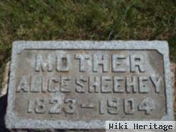 Alice O'brien Horigan Sheehey