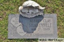 Aubrey Clay Shaneyfelt