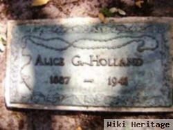 Alice G Holland