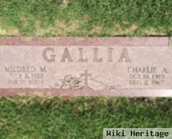 Charlie Alois Gallia