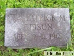 Patrick Michael Gibson