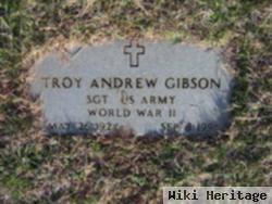 Troy Andrew Gibson
