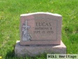 Anthony B Lucas