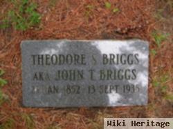 Theodore Sylvester Briggs